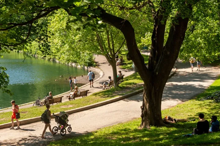 تابستان بالاخره به مونترال رسید، بزودی ۳۰ درجه!